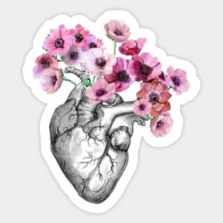 Pink Anemones Heart Human Anatomy Sticker